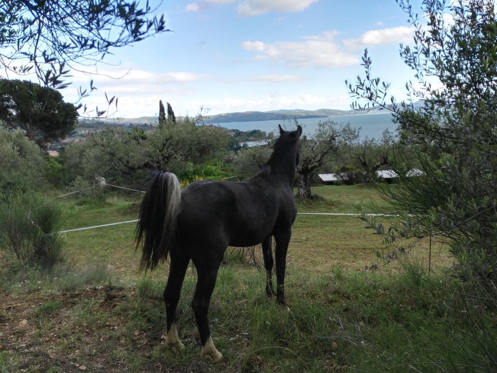 Antico Casale Tiravento Lejlighedshotel Passignano sul Trasimeno Eksteriør billede
