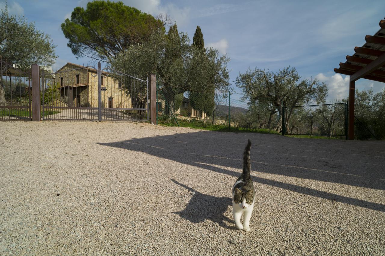 Antico Casale Tiravento Lejlighedshotel Passignano sul Trasimeno Eksteriør billede